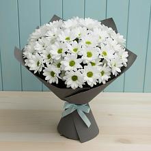 Букет цветов из:  Хризантемы #REPLACE_PRED# Юрьевце