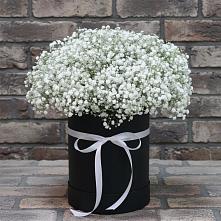 Цветочная композиция из Гипсофила в шляпной коробке в Юрьевце
