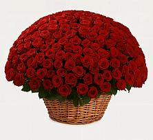 Премиум букет из: Розы в Юрьевце